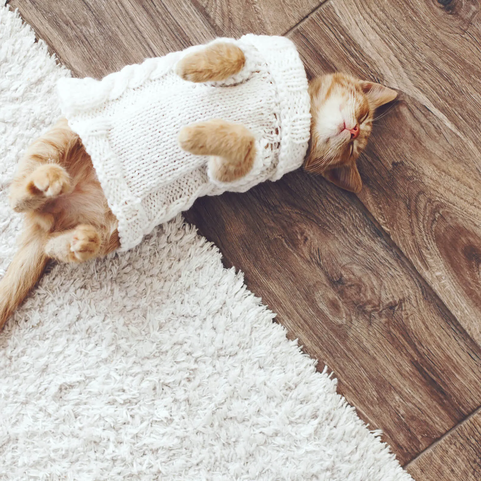 Hardwood flooring | Vic's Carpet & Flooring
